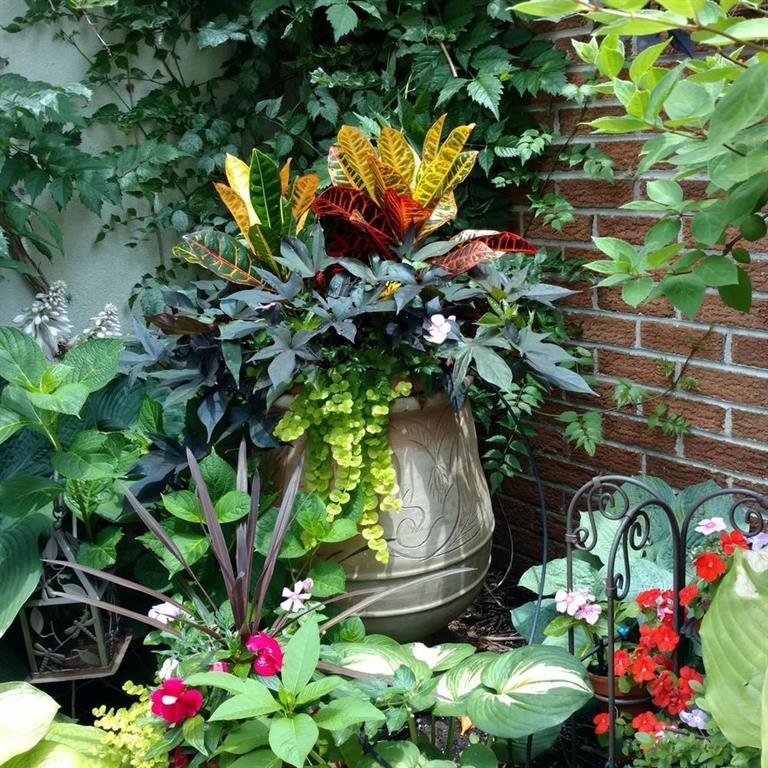 8317 Colonial Road Brooklyn, NY 11209 - Photo 17 of 21