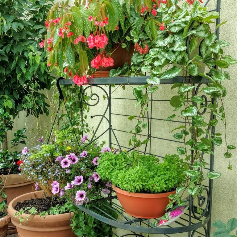 8317 Colonial Road Brooklyn, NY 11209 - Photo 19 of 21