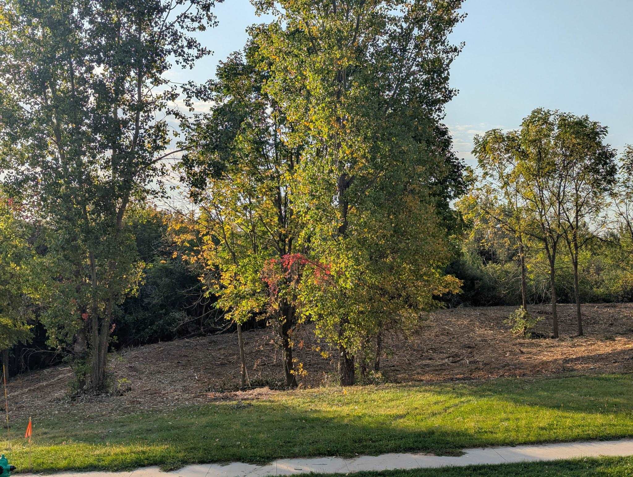 Incline Way Appleton, WI 54913 - Photo 2 of 11
