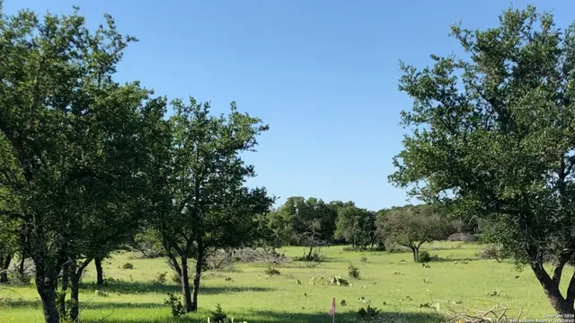 a view of a field with trees in the background