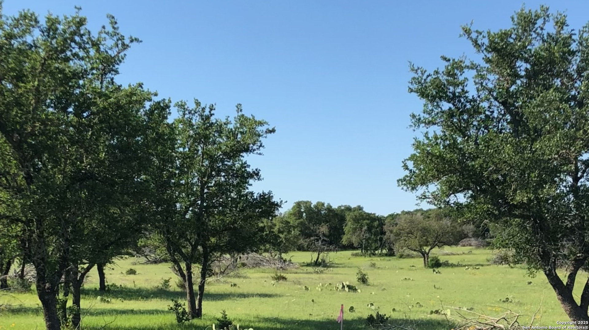 a view of a field with trees in the background