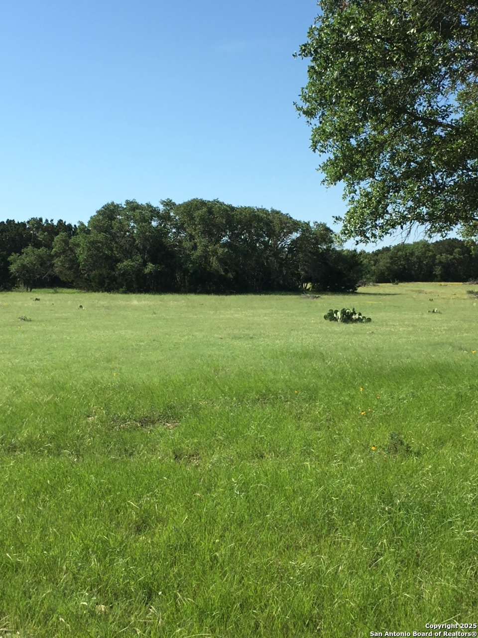 0 Th Sonora, TX 76950 - Photo 5 of 67