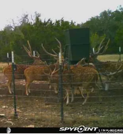 $375,000 | 0 Th, Sonora, TX 76950