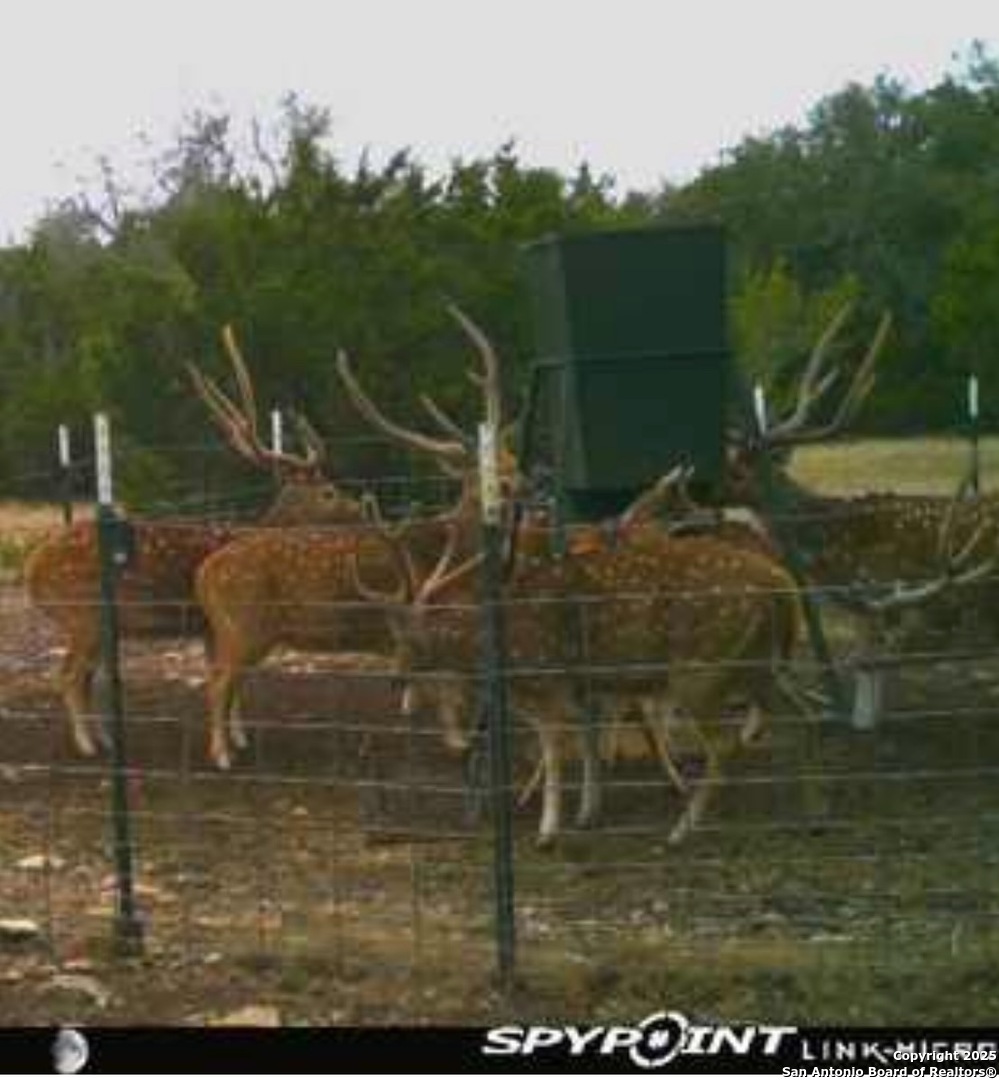 0 Th Sonora, TX 76950 - Photo 57 of 67