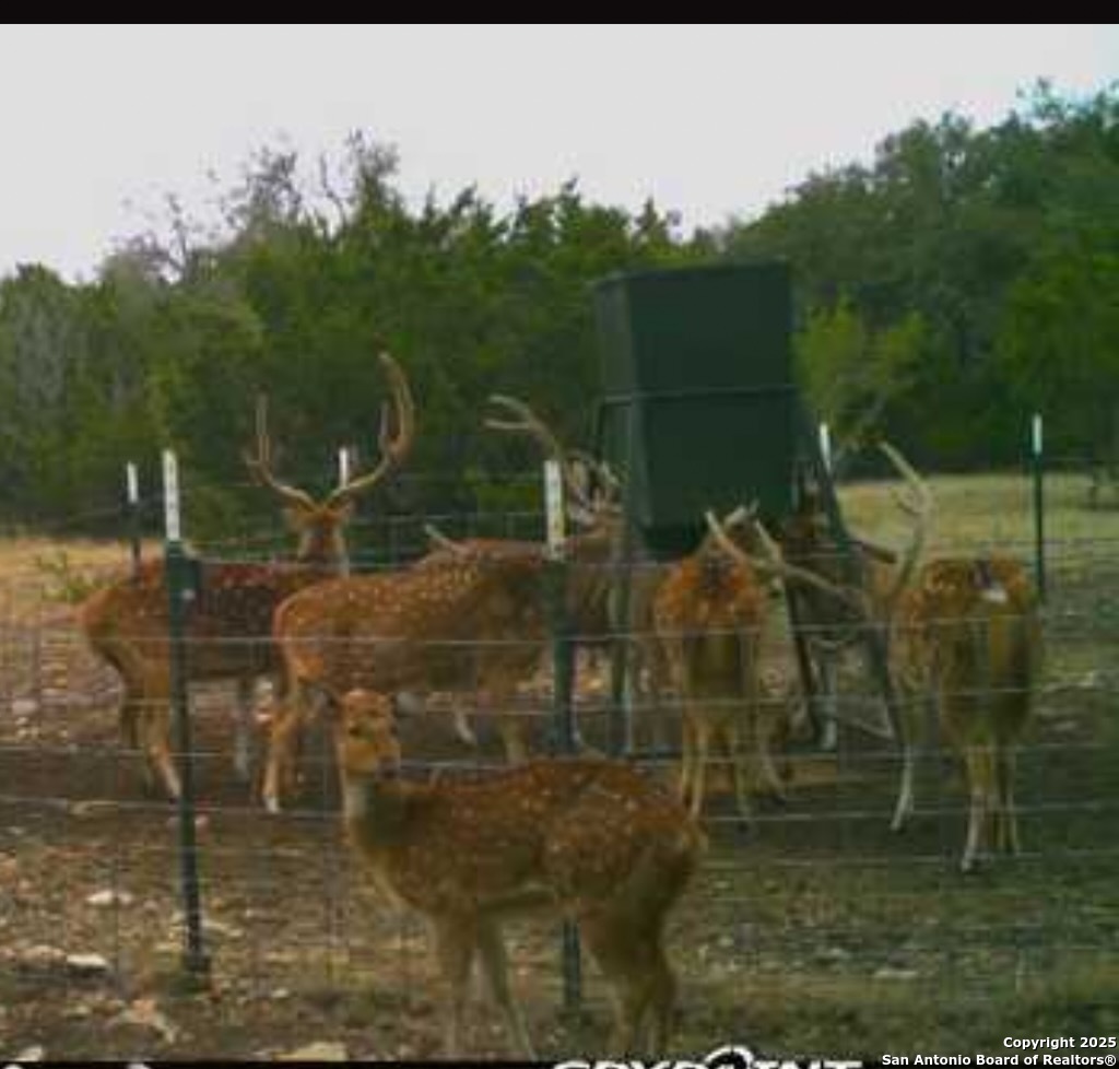 0 Th Sonora, TX 76950 - Photo 58 of 67