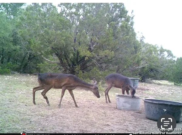 $375,000 | 0 Th, Sonora, TX 76950