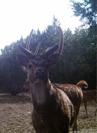 $375,000 | 0 Th, Sonora, TX 76950