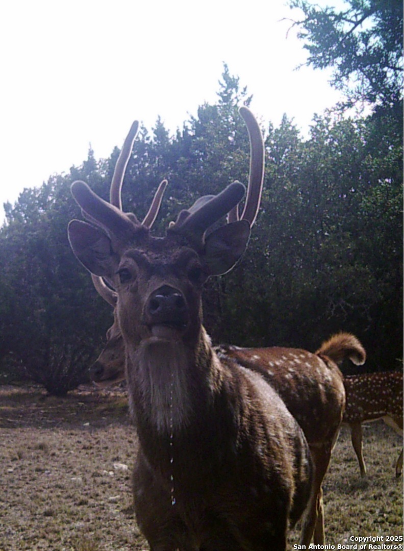 0 Th Sonora, TX 76950 - Photo 65 of 67