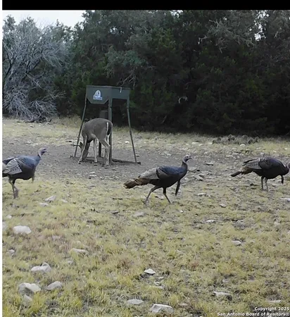 $375,000 | 0 Th, Sonora, TX 76950