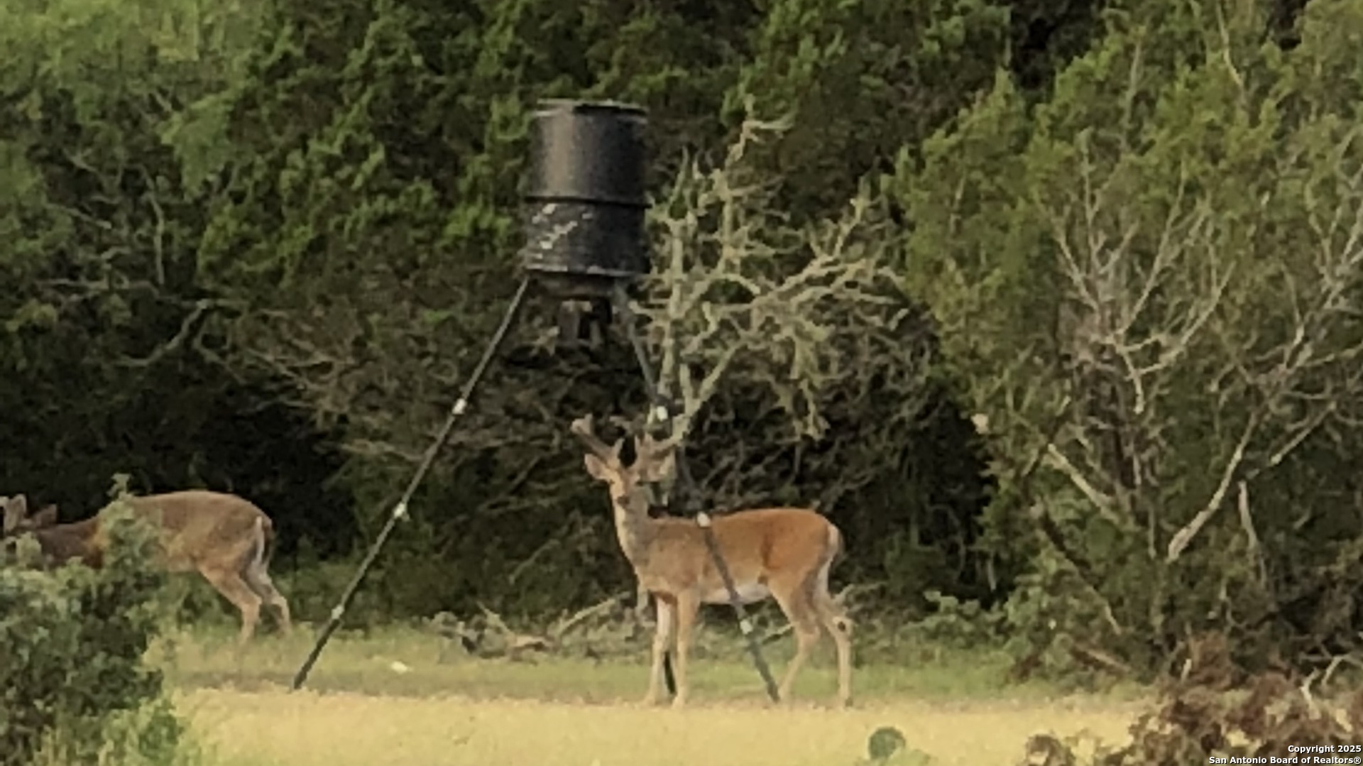 0 Th Sonora, TX 76950 - Photo 8 of 67