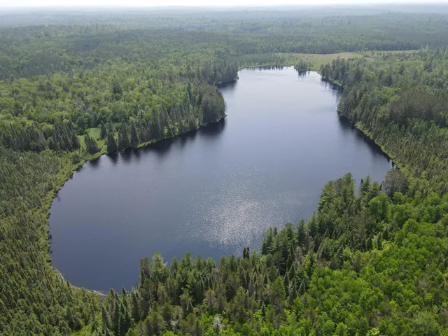 $499,900 | Tbd Holm Logging Road, Orr, MN 55771
