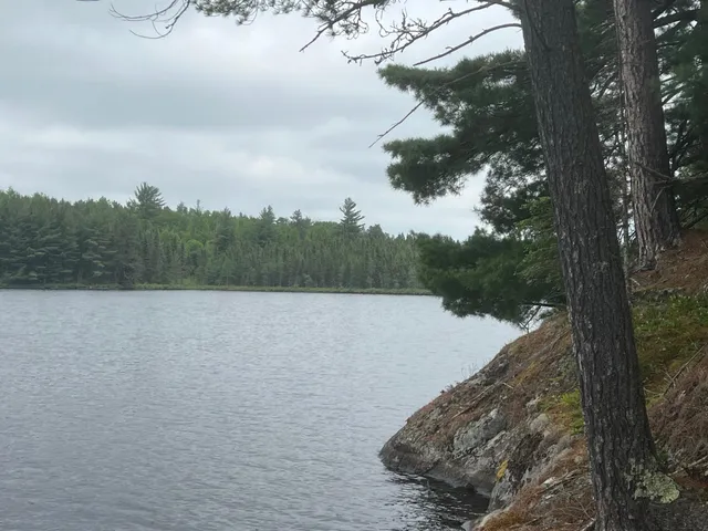 $450,000 | Tbd Holm Logging Road, Orr, MN 55771