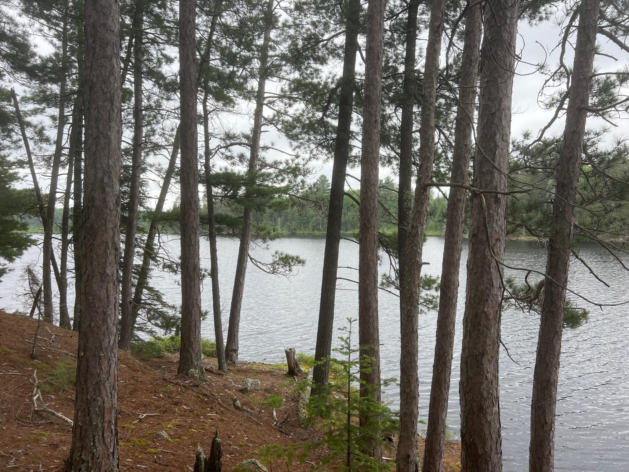 Tbd Holm Logging Road Orr, MN 55771 - Photo 12 of 52