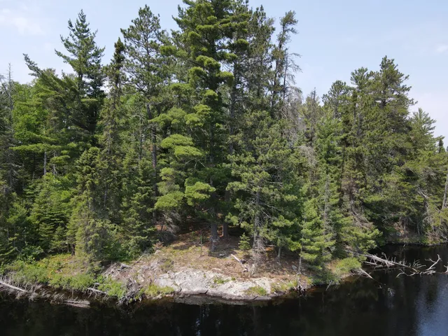 $450,000 | Tbd Holm Logging Road, Orr, MN 55771