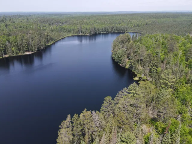 $450,000 | Tbd Holm Logging Road, Orr, MN 55771