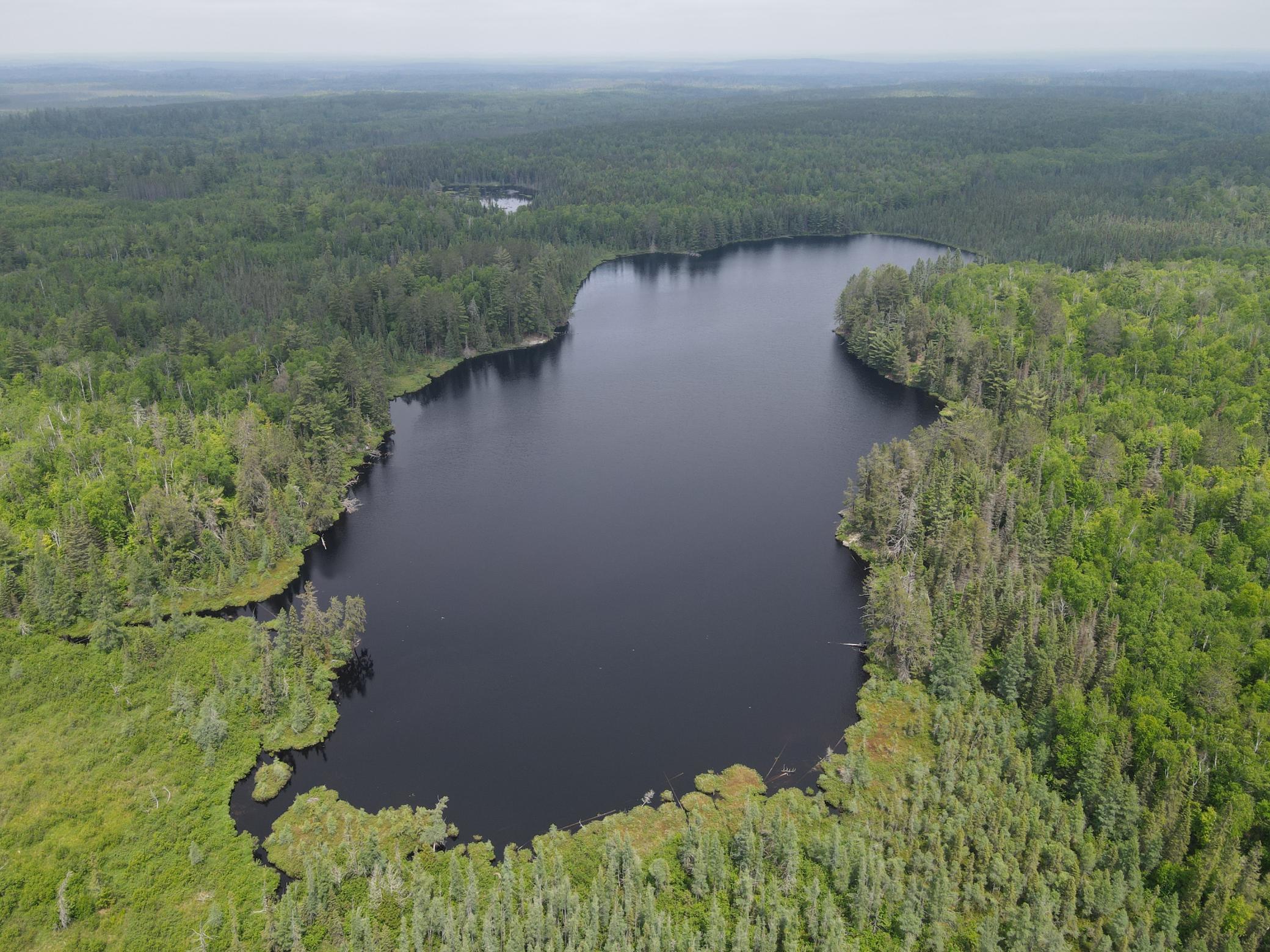 Tbd Holm Logging Road Orr, MN 55771 - Photo 15 of 52