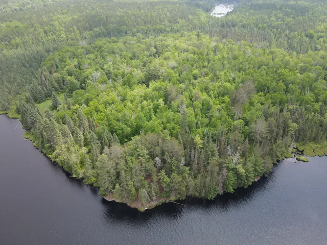 $450,000 | Tbd Holm Logging Road, Orr, MN 55771