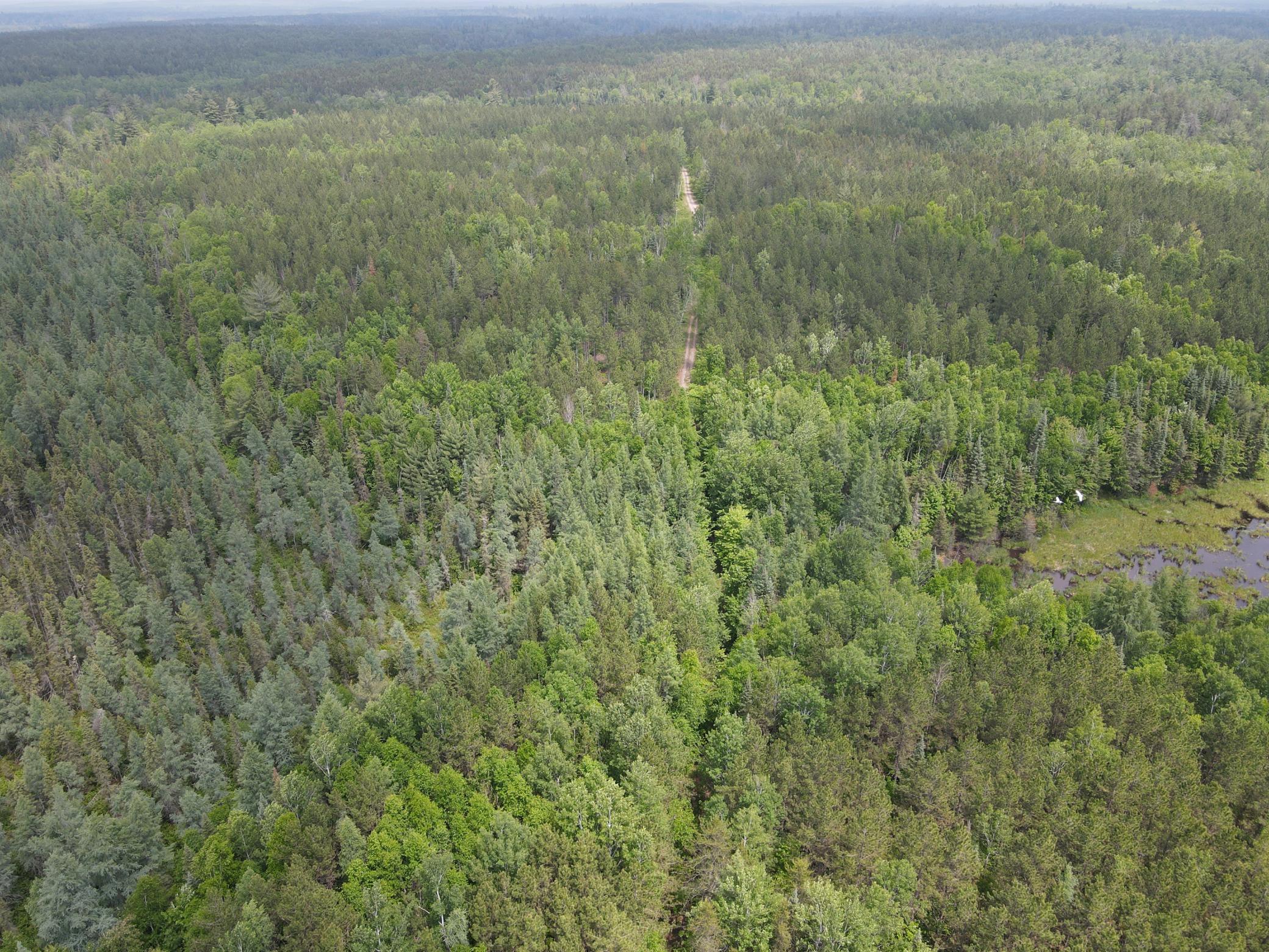 Tbd Holm Logging Road Orr, MN 55771 - Photo 17 of 52