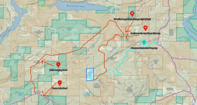 $450,000 | Tbd Holm Logging Road, Orr, MN 55771