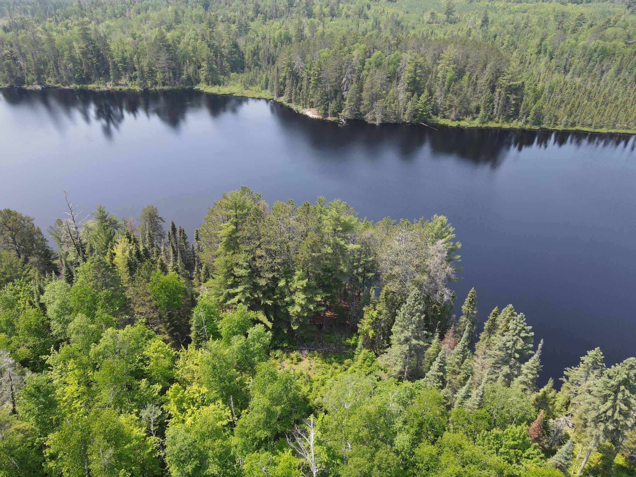 Tbd Holm Logging Road Orr, MN 55771 - Photo 22 of 52