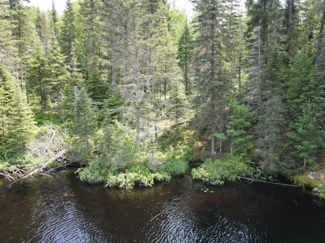 $450,000 | Tbd Holm Logging Road, Orr, MN 55771