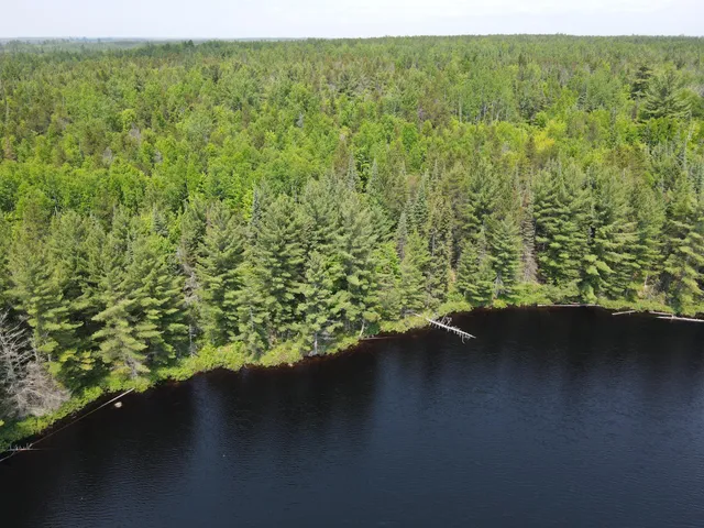 $450,000 | Tbd Holm Logging Road, Orr, MN 55771
