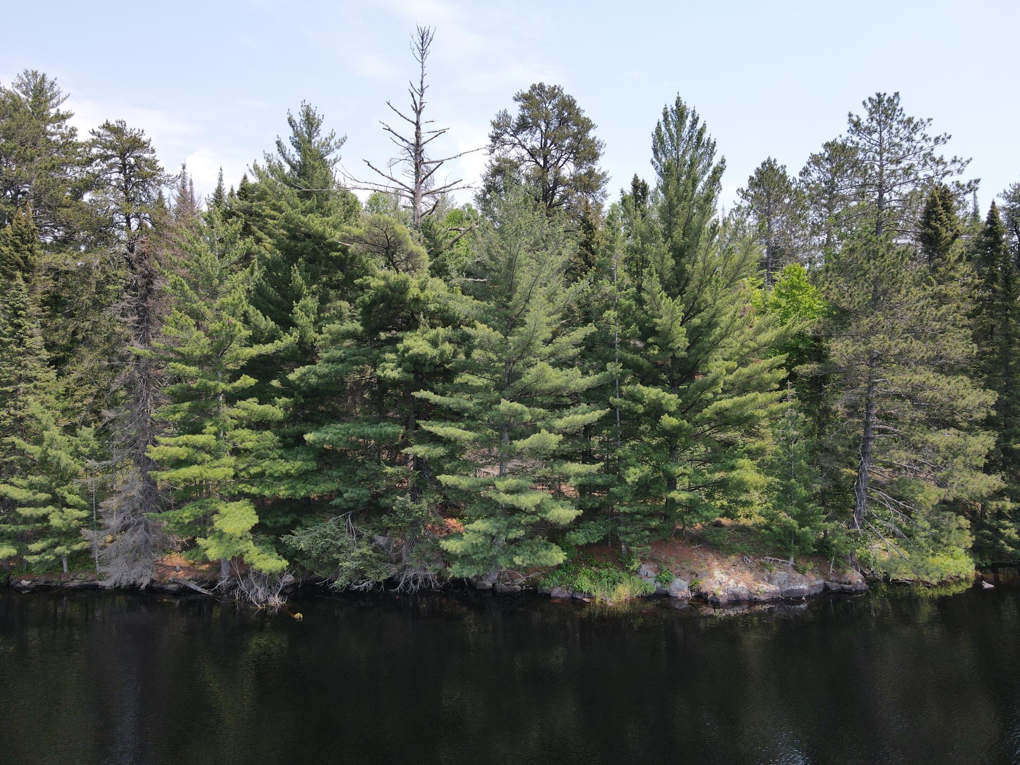 Tbd Holm Logging Road Orr, MN 55771 - Photo 27 of 52