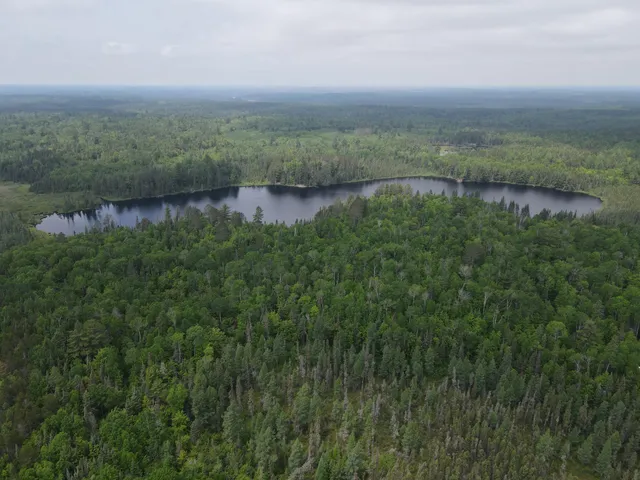 $450,000 | Tbd Holm Logging Road, Orr, MN 55771