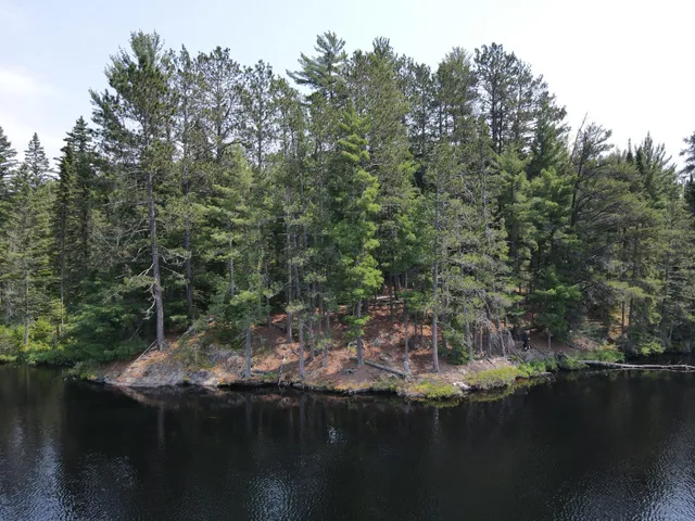 $450,000 | Tbd Holm Logging Road, Orr, MN 55771