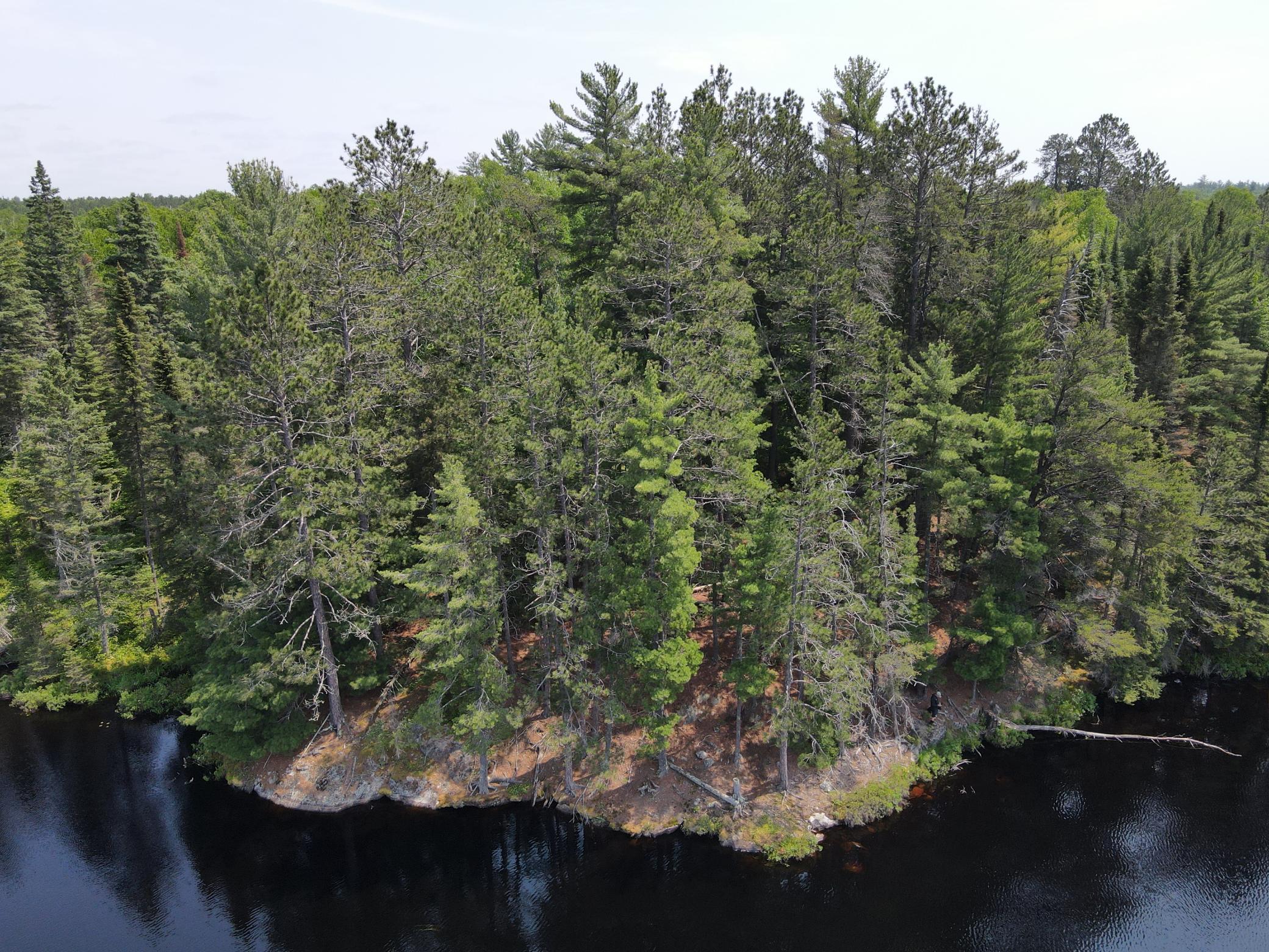 Tbd Holm Logging Road Orr, MN 55771 - Photo 30 of 52