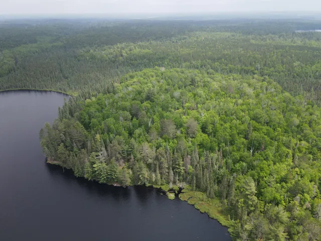 $450,000 | Tbd Holm Logging Road, Orr, MN 55771