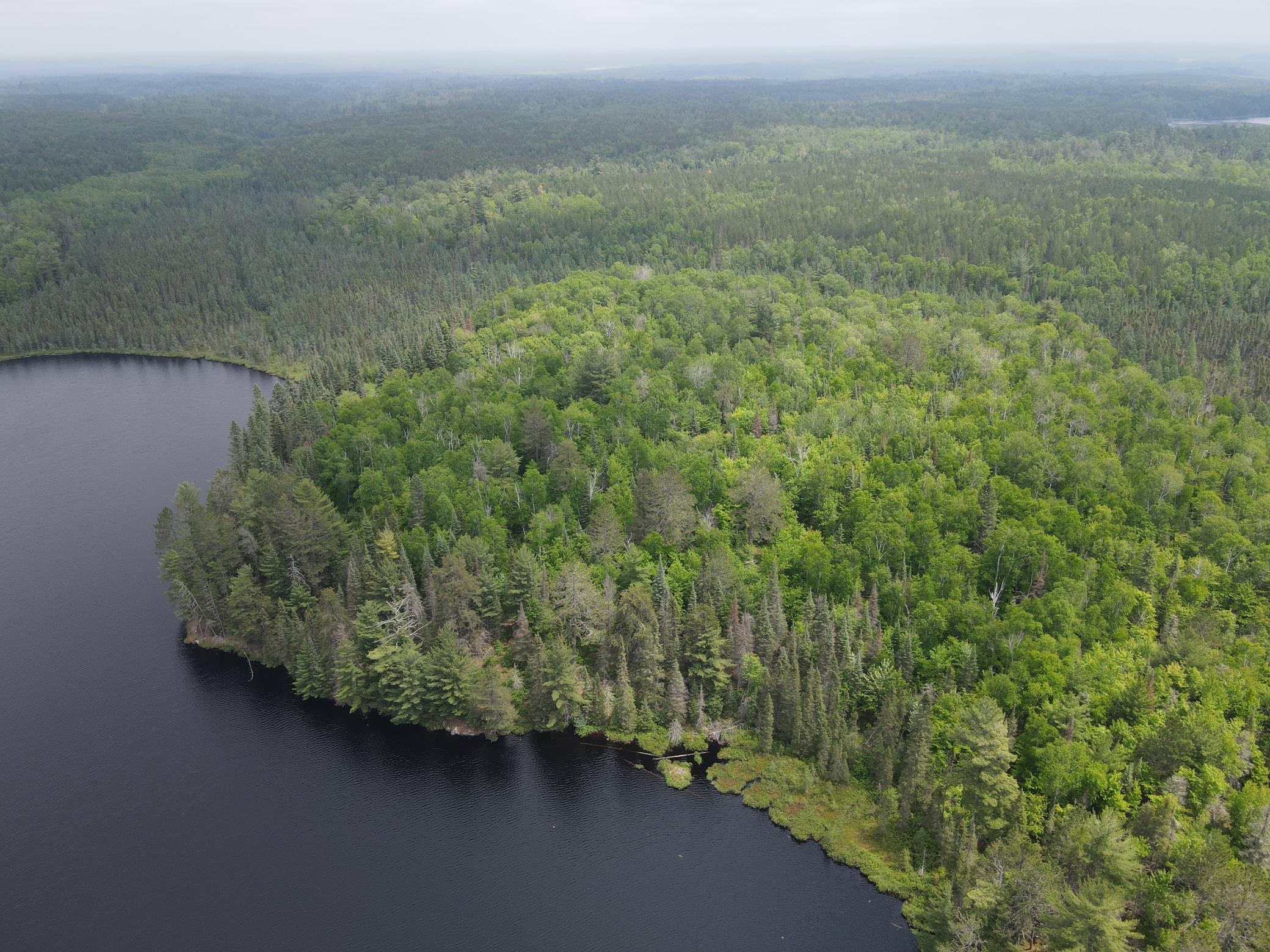 Tbd Holm Logging Road Orr, MN 55771 - Photo 3 of 52