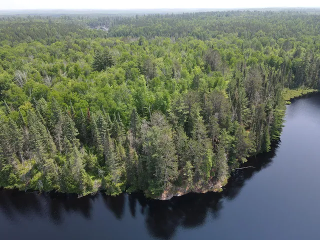 $450,000 | Tbd Holm Logging Road, Orr, MN 55771