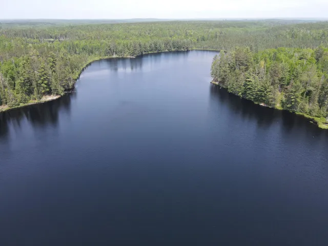 $450,000 | Tbd Holm Logging Road, Orr, MN 55771