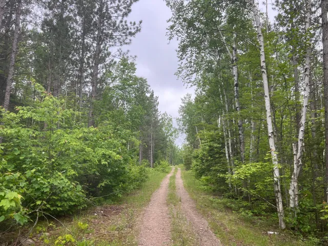 $450,000 | Tbd Holm Logging Road, Orr, MN 55771