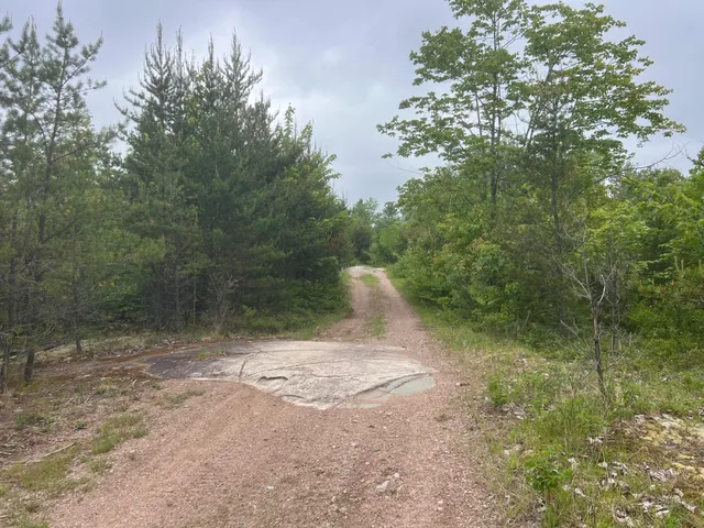$450,000 | Tbd Holm Logging Road, Orr, MN 55771