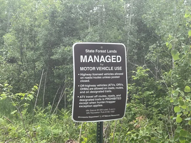 $450,000 | Tbd Holm Logging Road, Orr, MN 55771