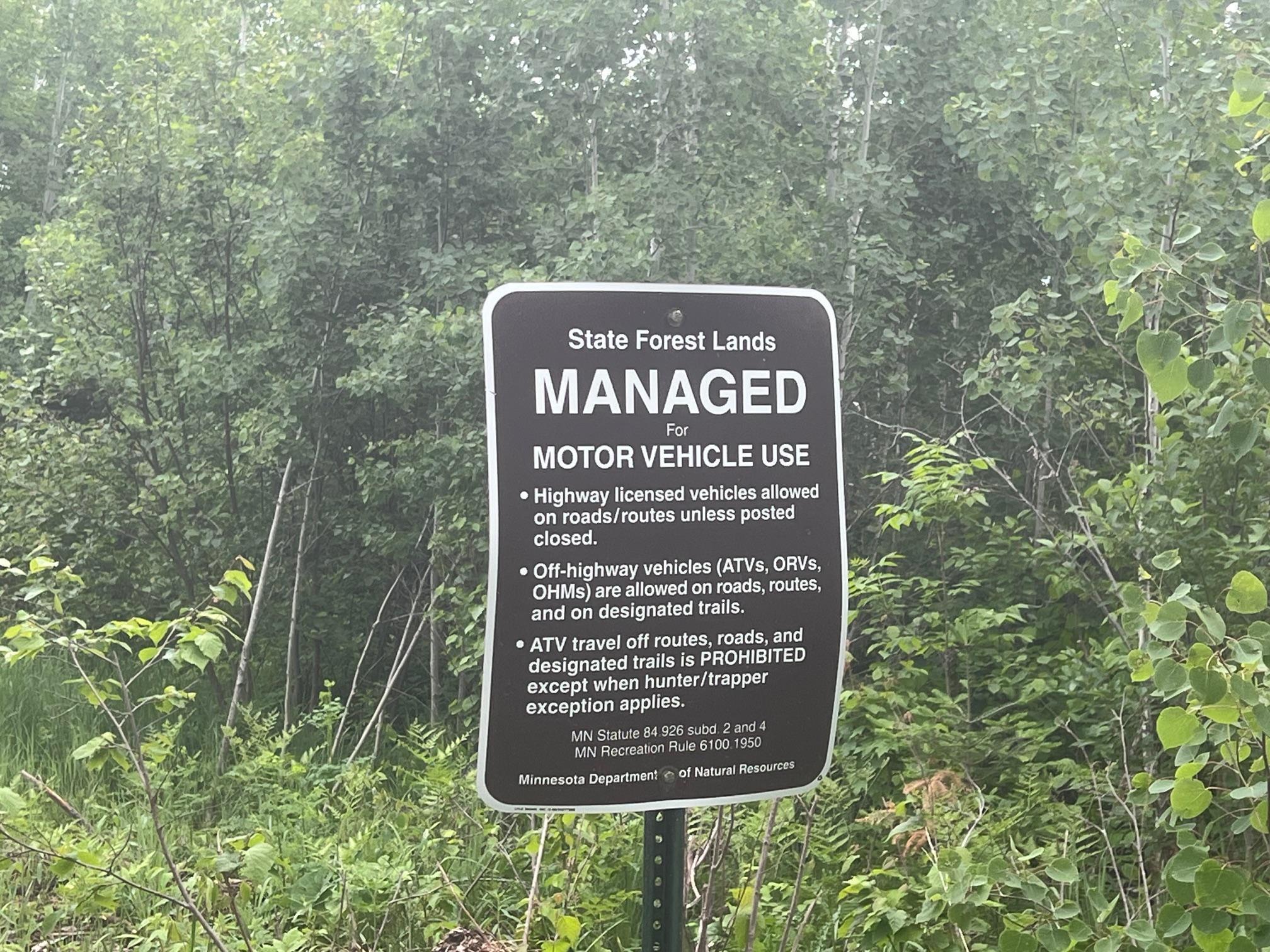 Tbd Holm Logging Road Orr, MN 55771 - Photo 37 of 52