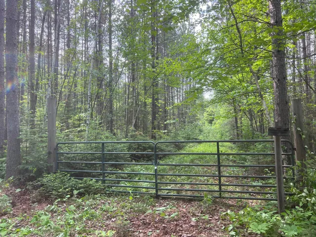 $450,000 | Tbd Holm Logging Road, Orr, MN 55771