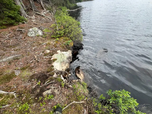 $450,000 | Tbd Holm Logging Road, Orr, MN 55771