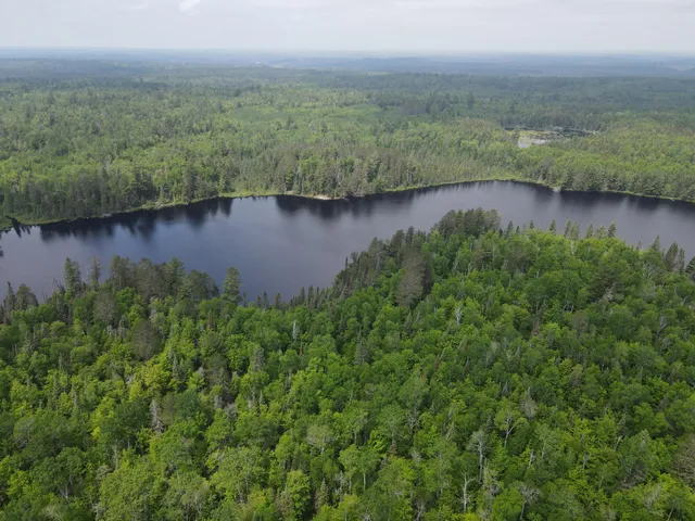 $450,000 | Tbd Holm Logging Road, Orr, MN 55771