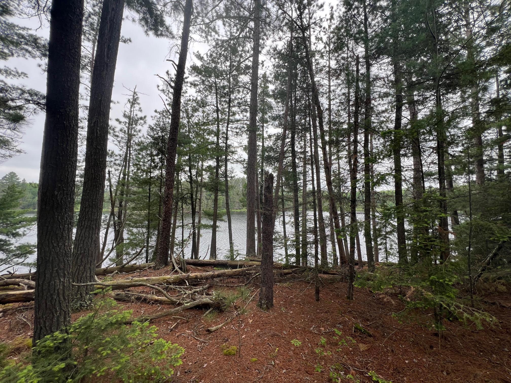 Tbd Holm Logging Road Orr, MN 55771 - Photo 41 of 52