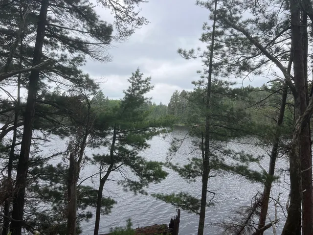 $450,000 | Tbd Holm Logging Road, Orr, MN 55771