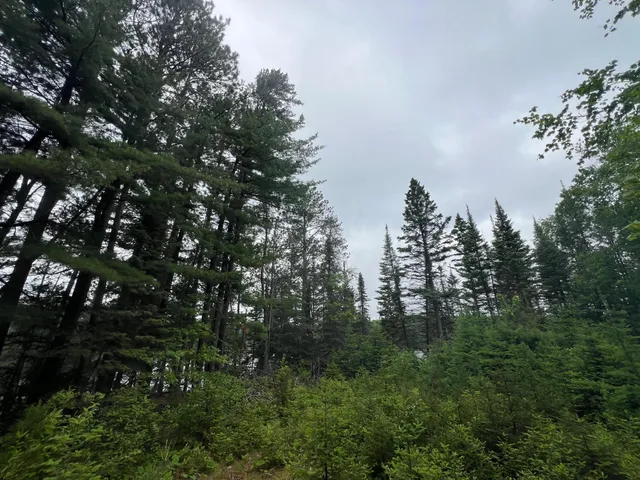 $450,000 | Tbd Holm Logging Road, Orr, MN 55771
