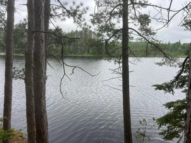 $450,000 | Tbd Holm Logging Road, Orr, MN 55771