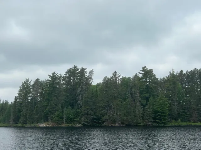 $450,000 | Tbd Holm Logging Road, Orr, MN 55771