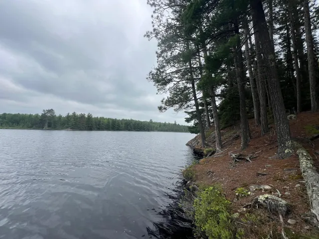 $450,000 | Tbd Holm Logging Road, Orr, MN 55771