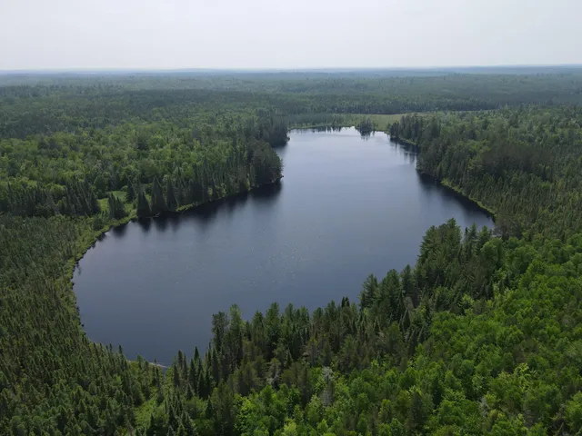$450,000 | Tbd Holm Logging Road, Orr, MN 55771