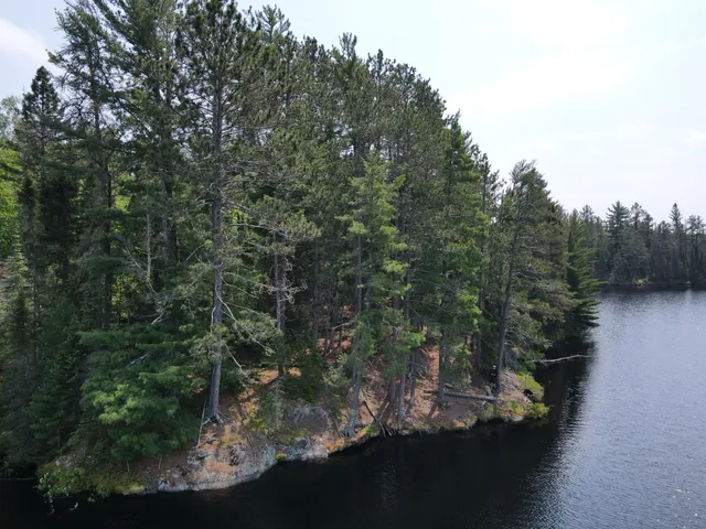 $450,000 | Tbd Holm Logging Road, Orr, MN 55771