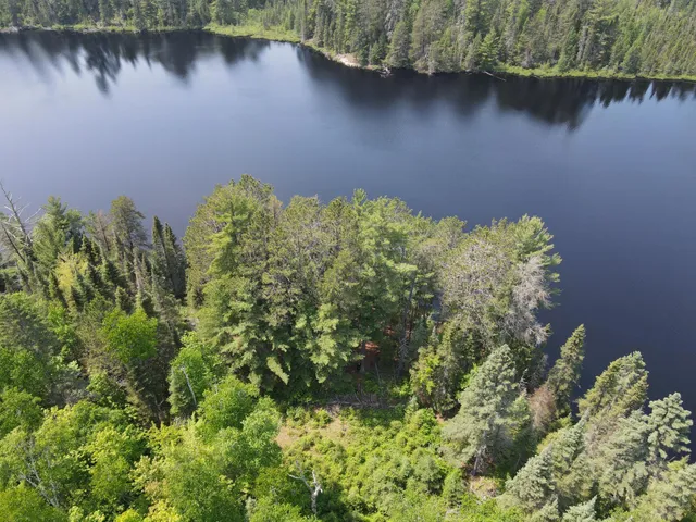 $450,000 | Tbd Holm Logging Road, Orr, MN 55771